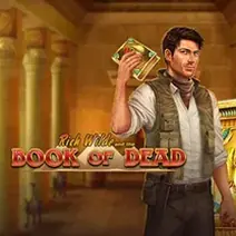Book of Dead online slot game